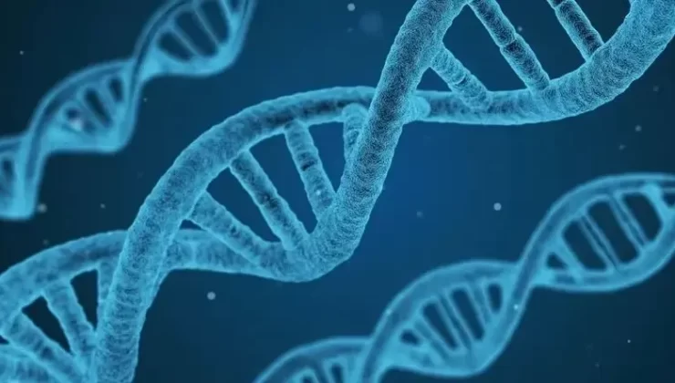 Şizofreni ve Bipolar Bozukluk Aynı Genetik Yapıyı Paylaşıyor 2 bilim insanlari acikladi iki has 2